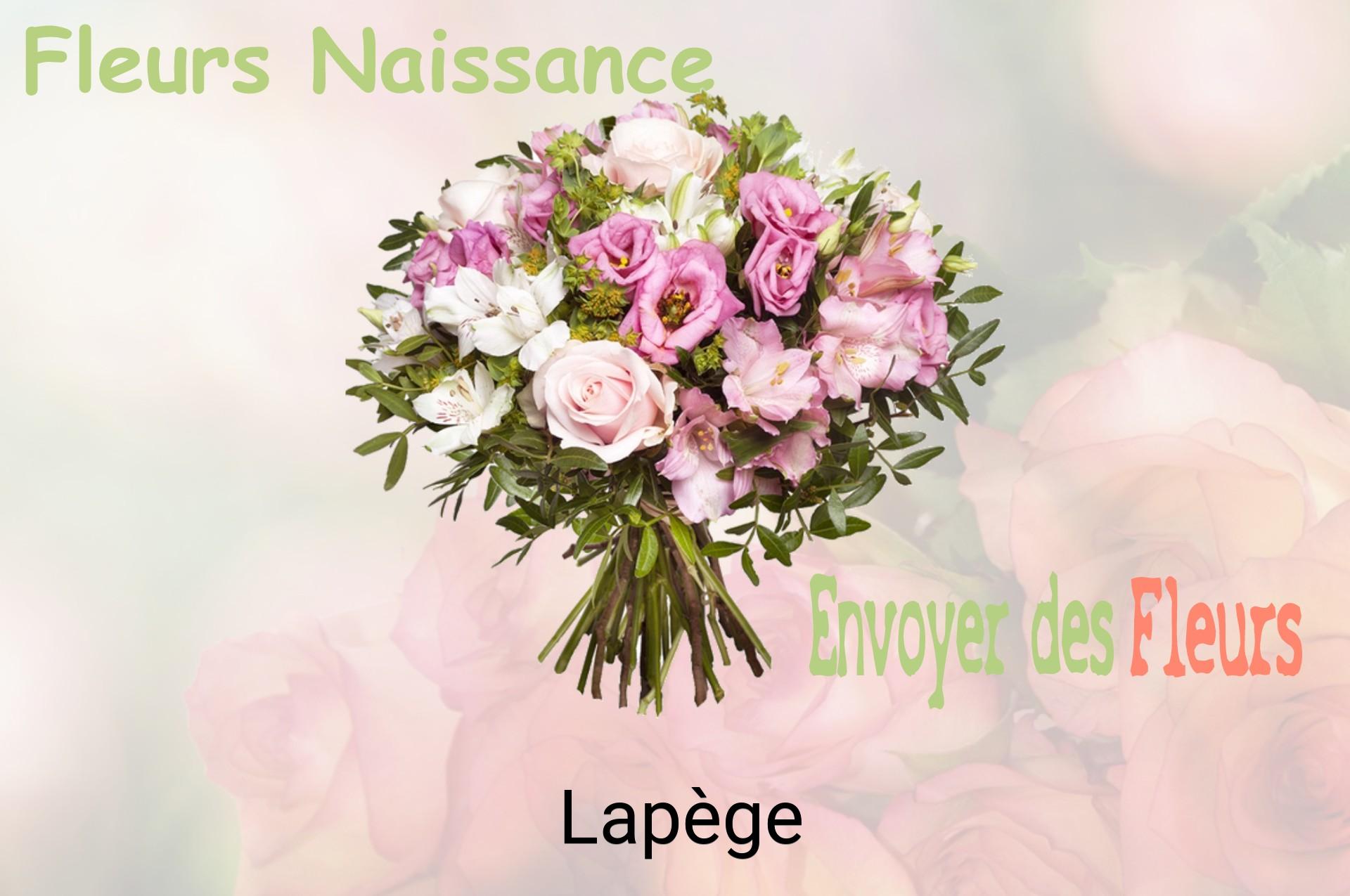 Bouquet de fleurs de naissance livré à Lapège